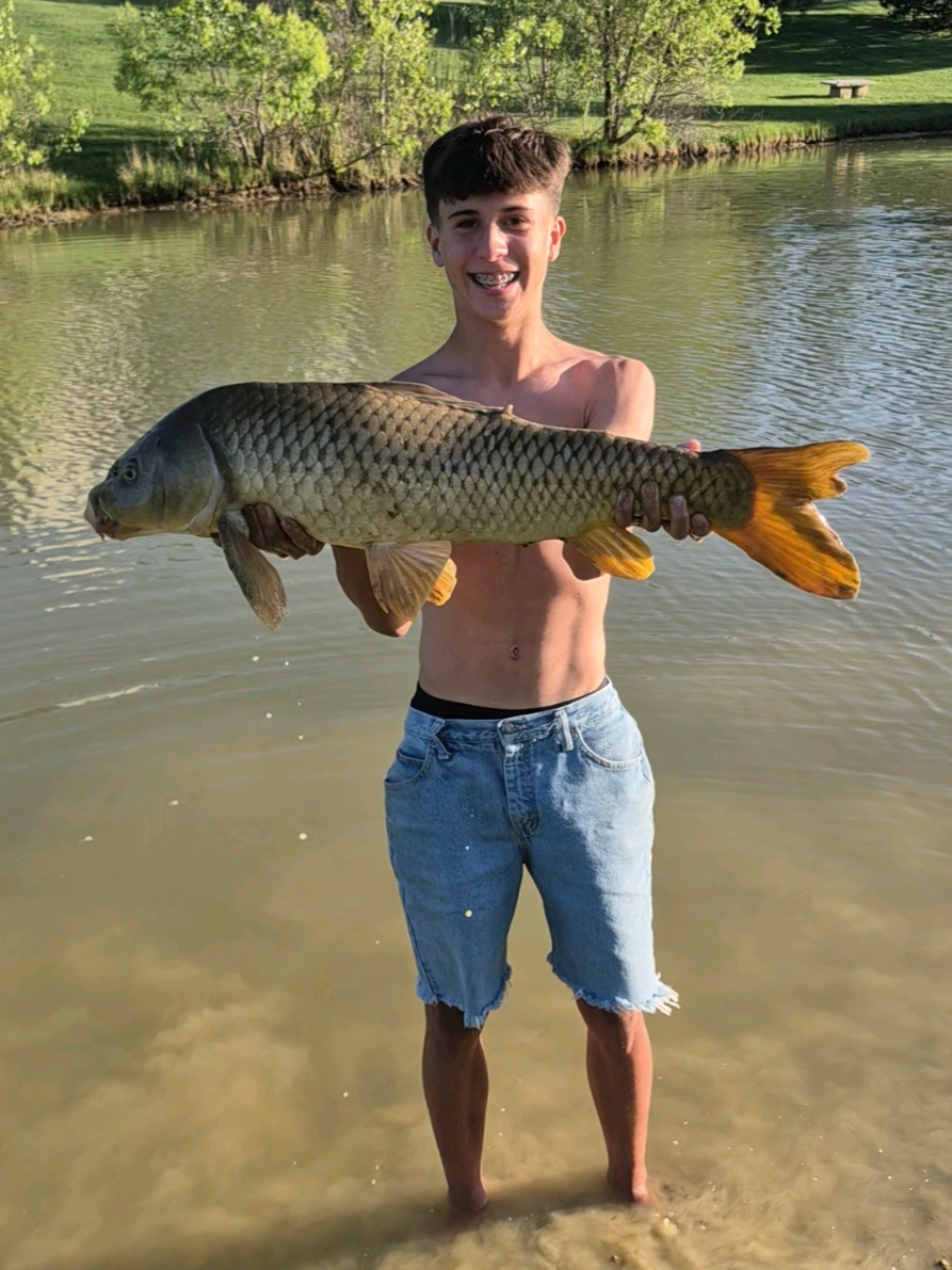 @AustinFishes
