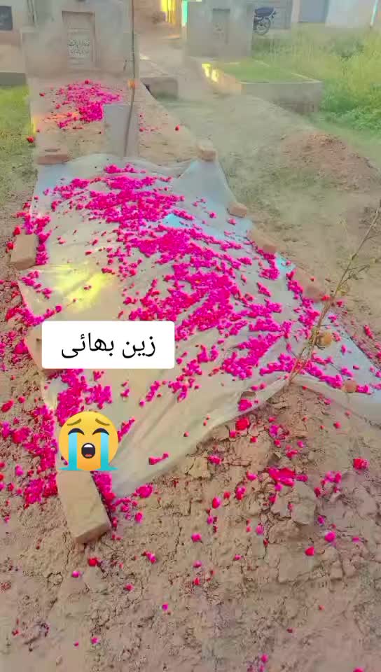 @amirjni46