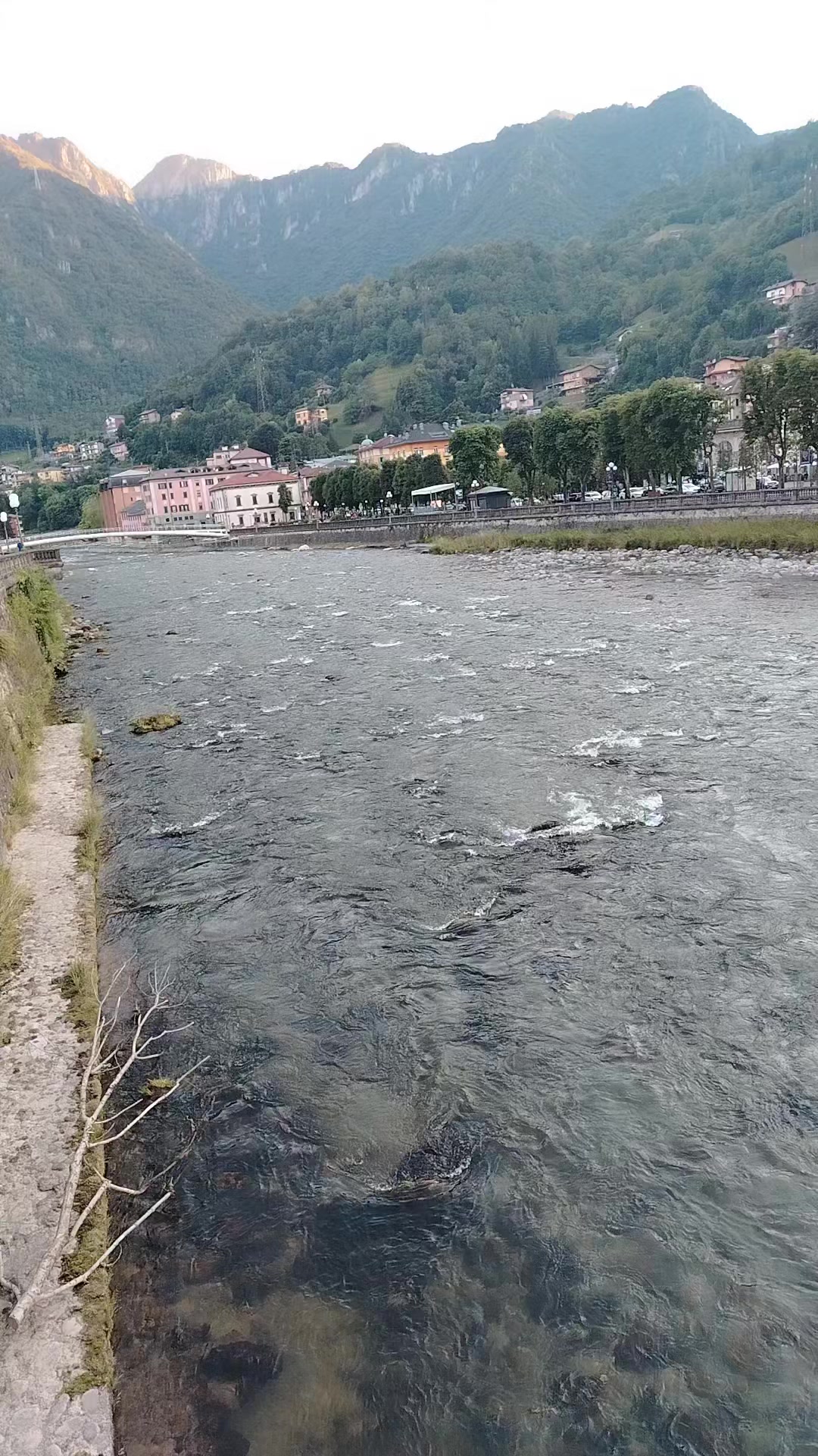 @Ervina Musaraj