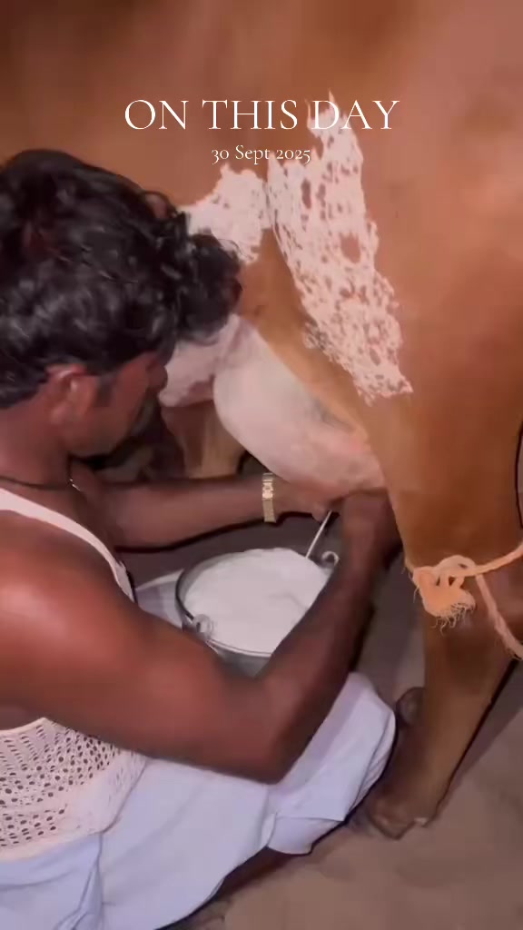 @𝐖𝐀𝐐𝐀𝐒 𝐑𝐎𝐇𝐈 𝐖𝐀𝐋𝐀