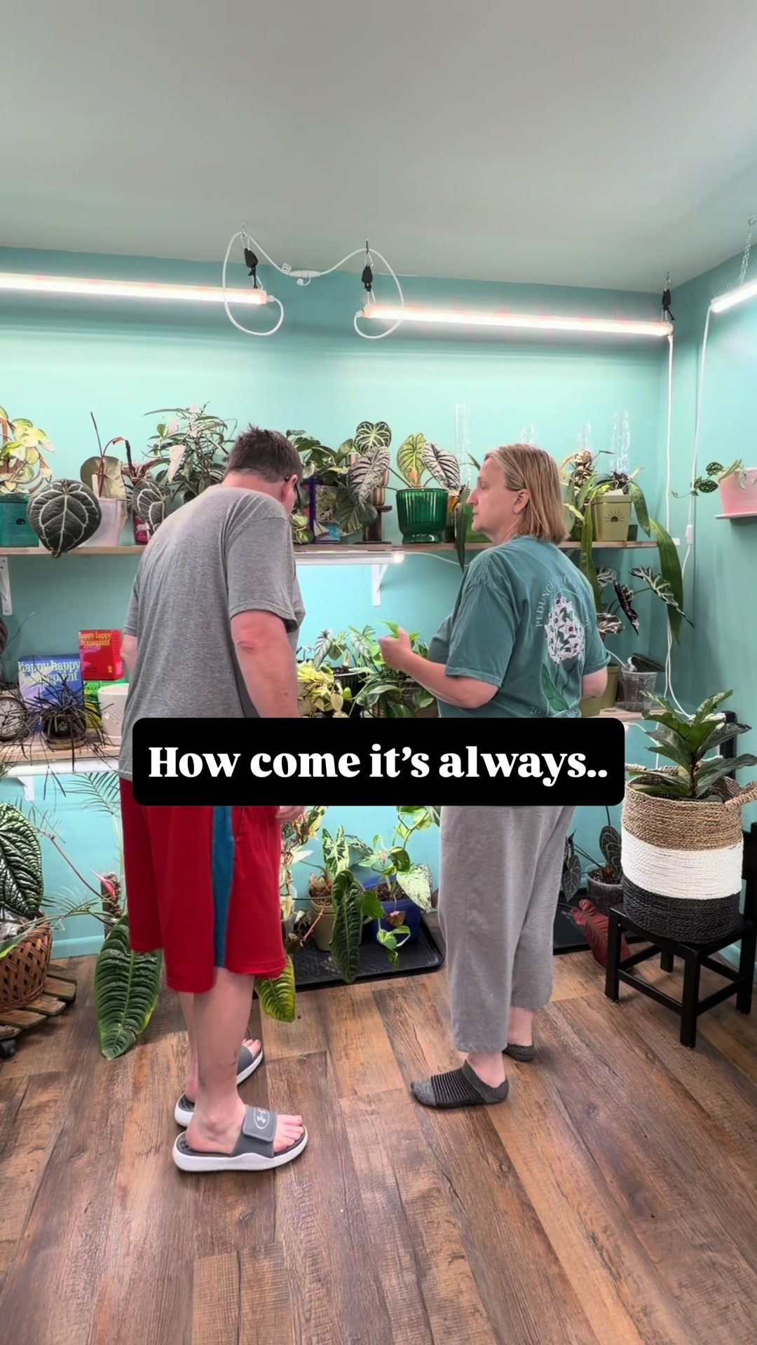 @Pothosiblyaboutplants