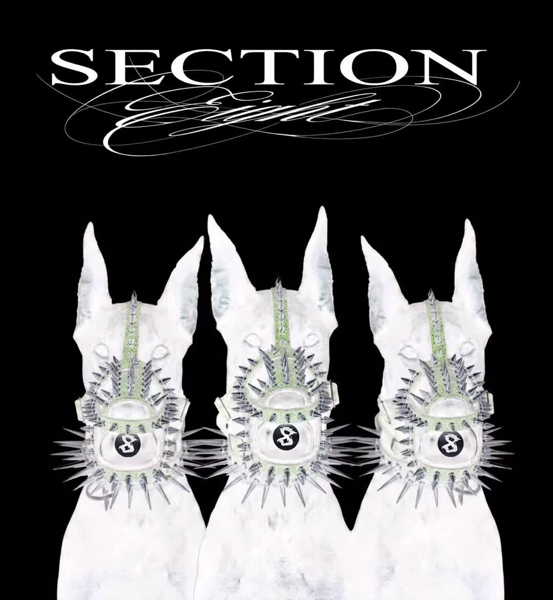 @section8