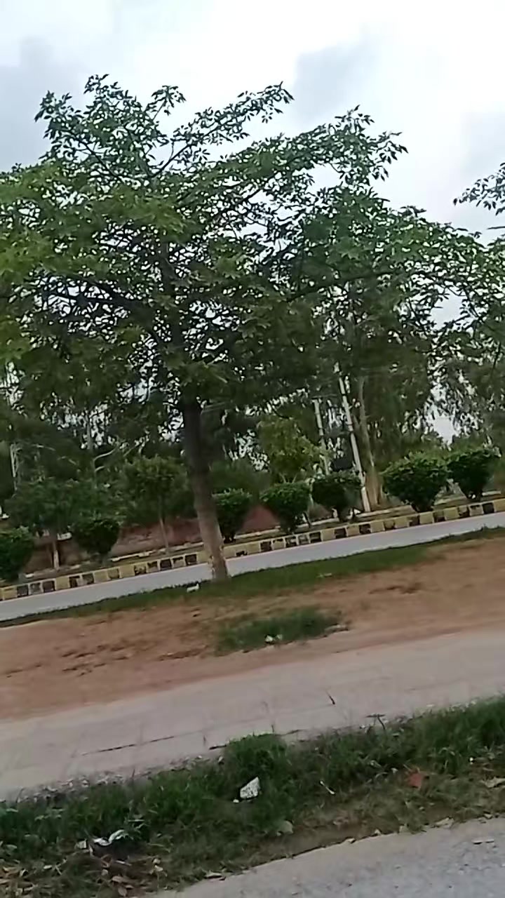 @bushra afridi😍