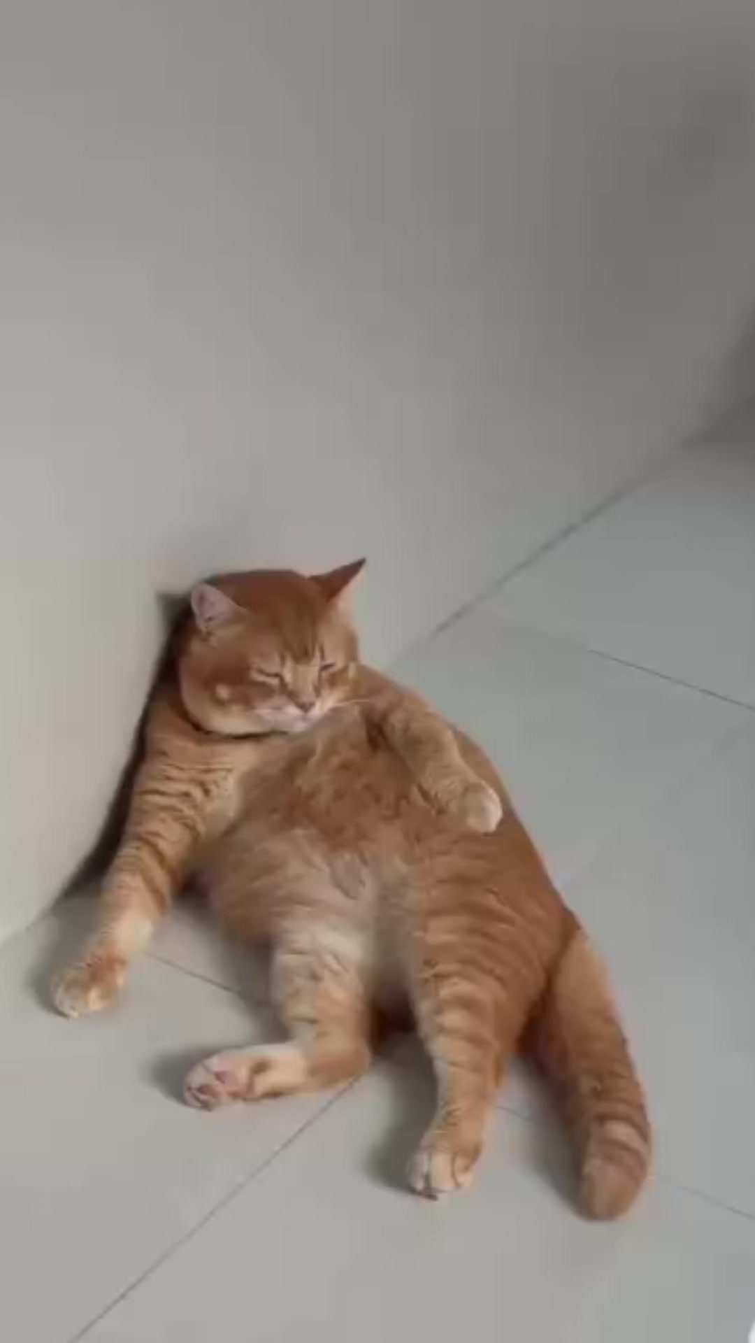 @rungg