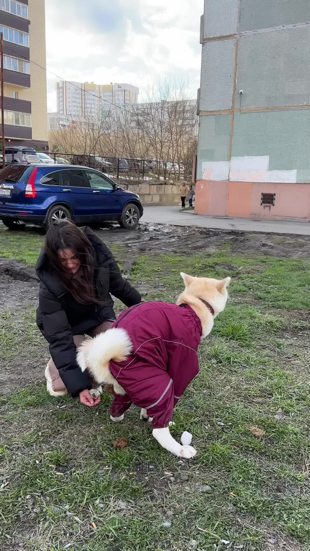 @Тэчис
