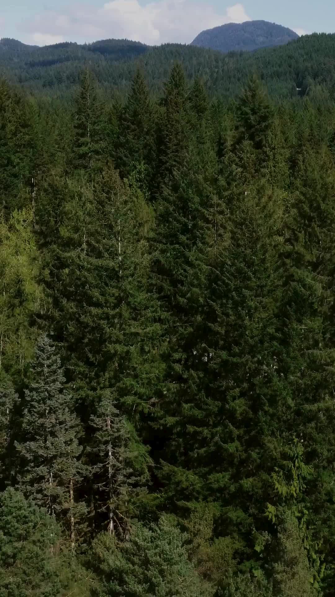 @UBC FES🌲🇨🇦