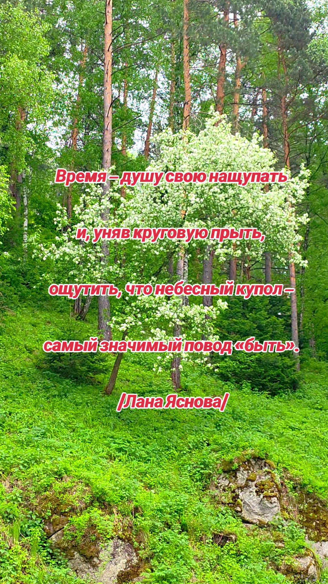 @Яркое Лето