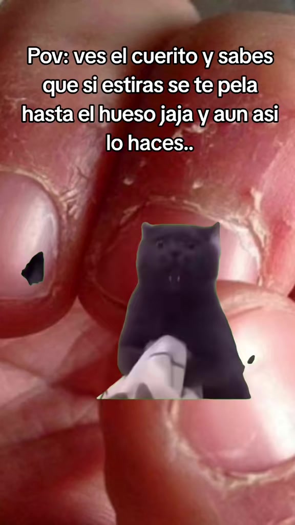 @Fer Rojas