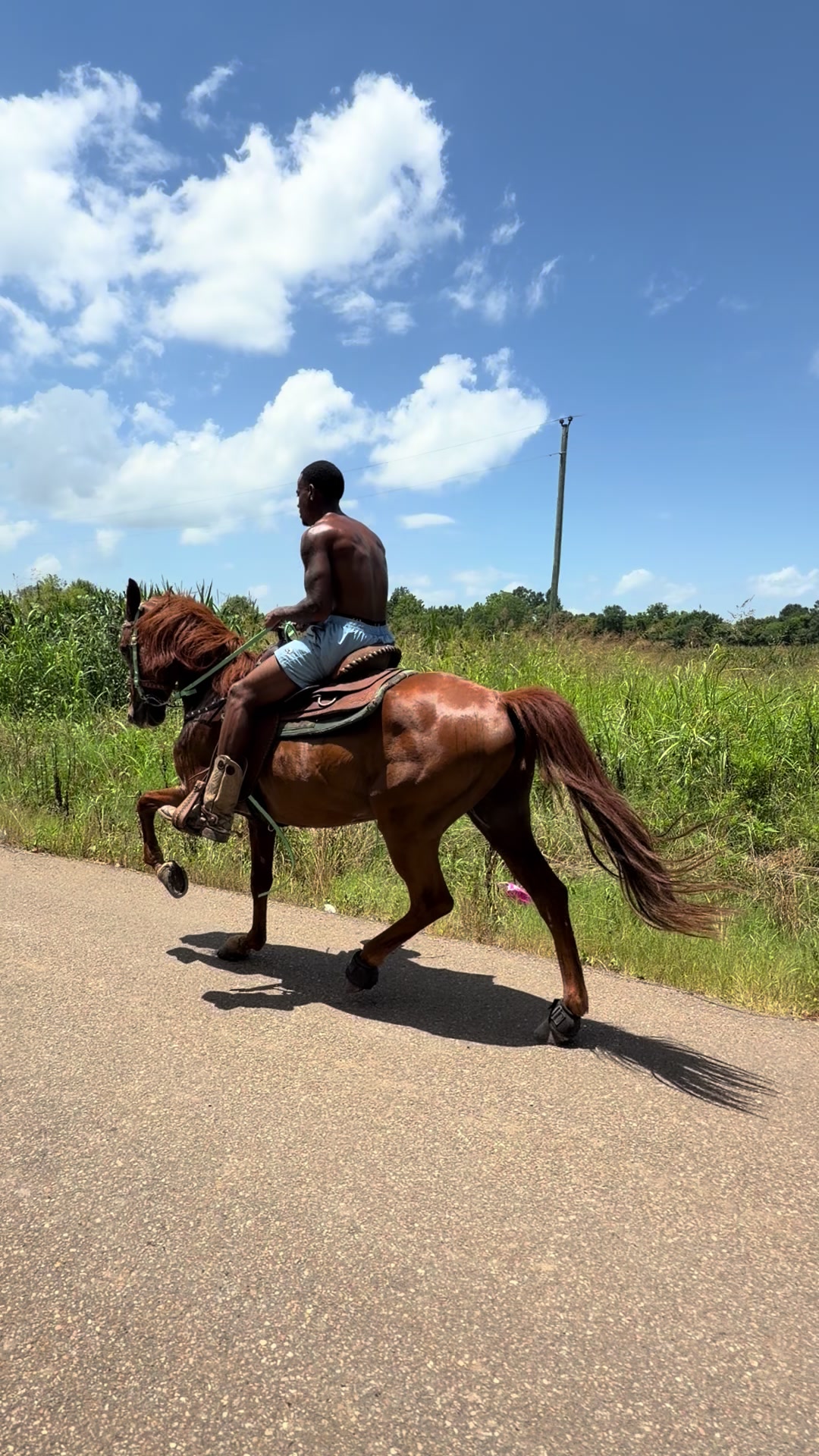 @sayyCamm🐎🤠