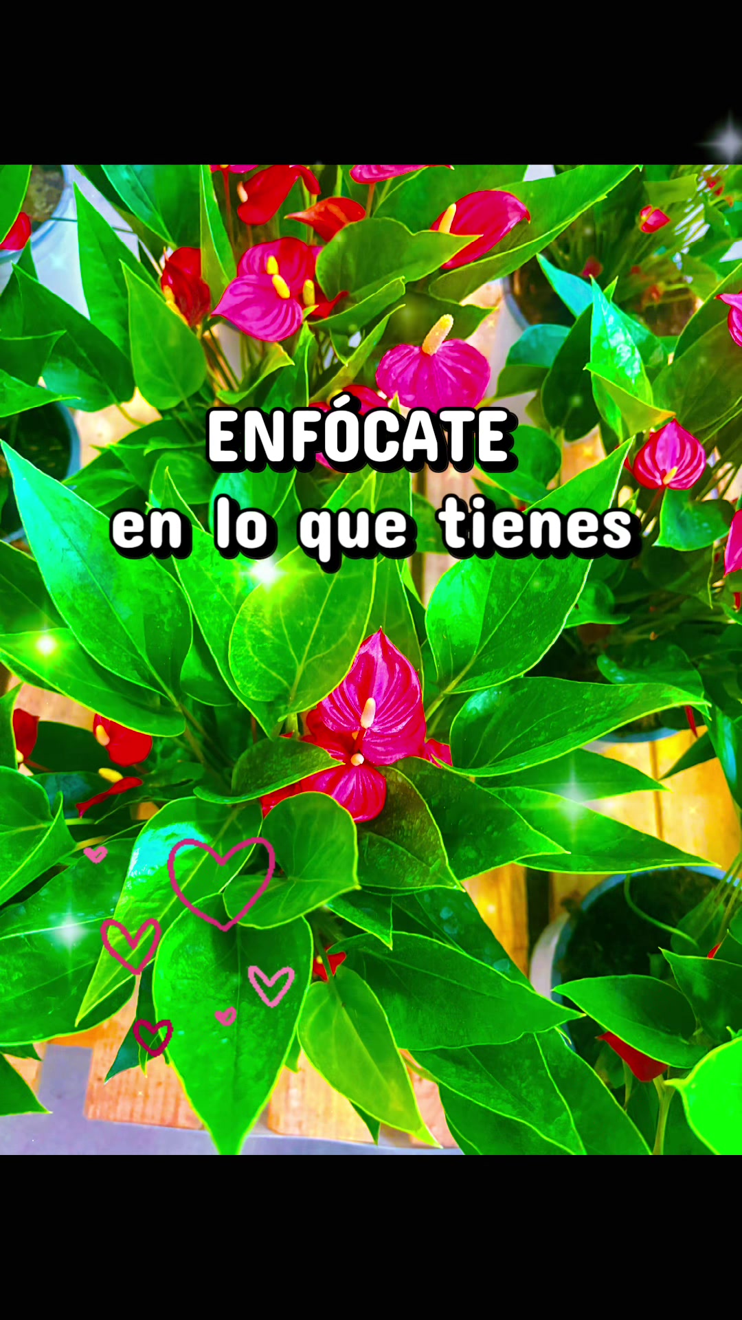 @almayoss1