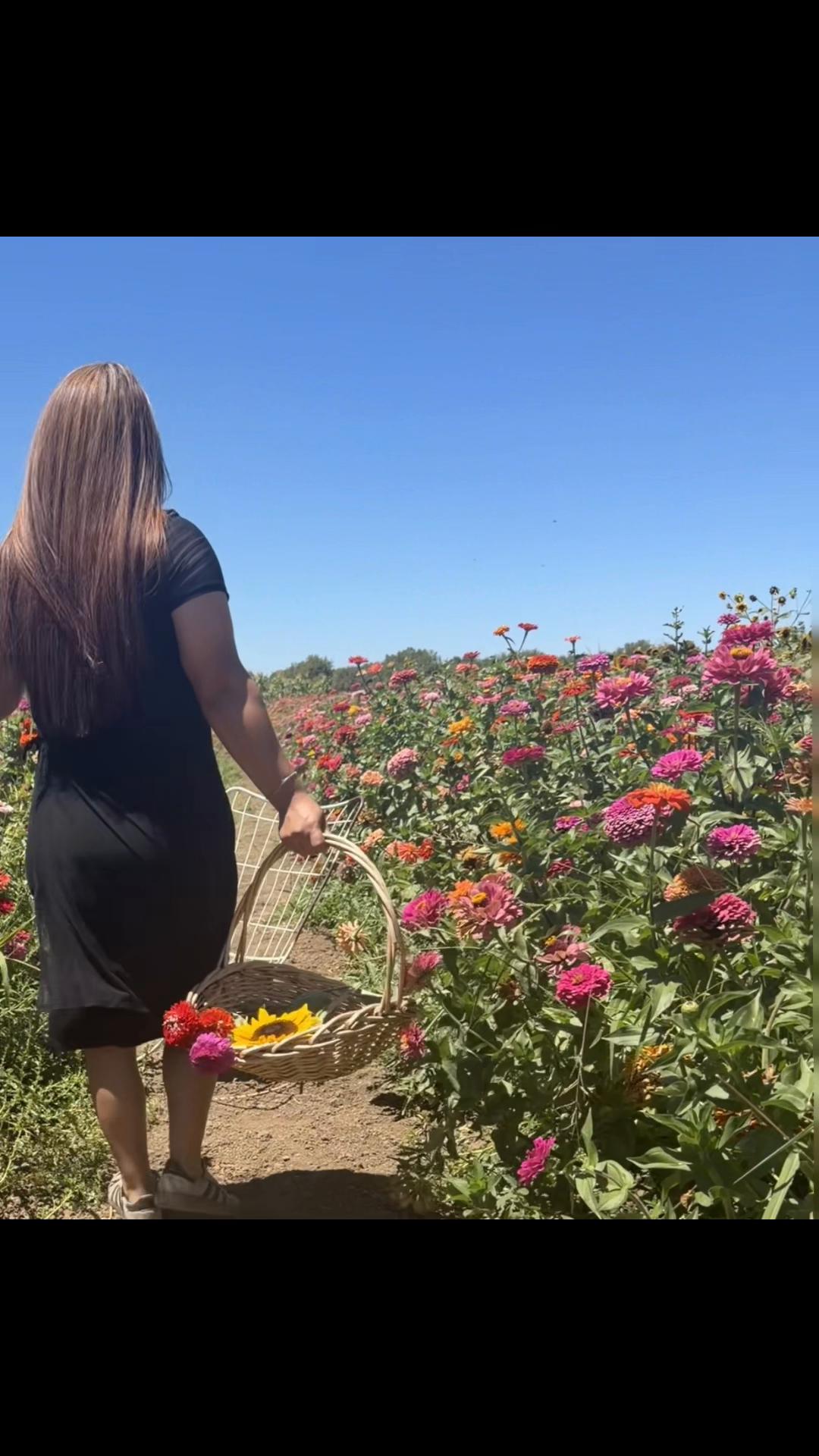 @Rocxana256 García