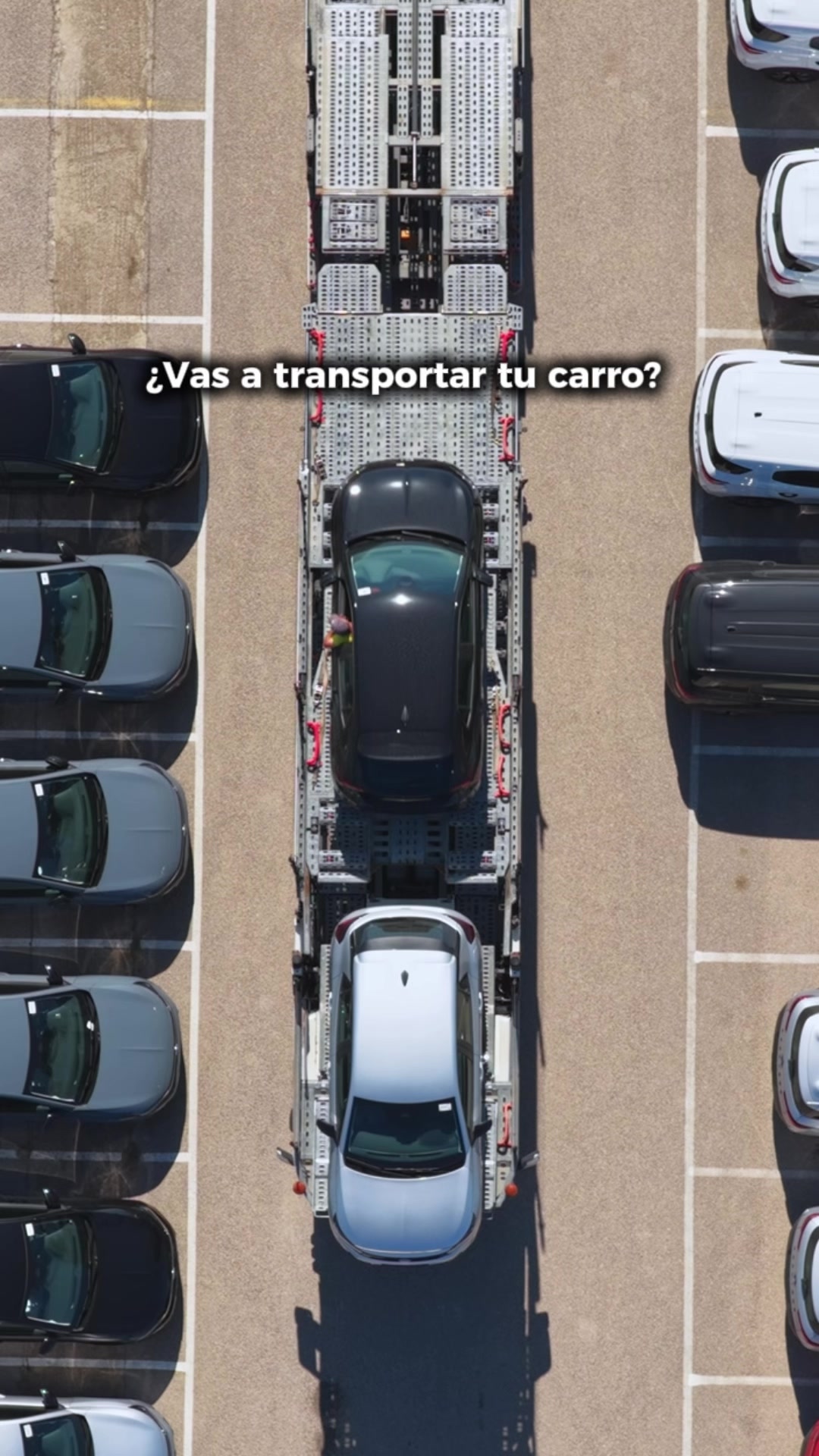 @CAR TRANSPORT| BROKERS
