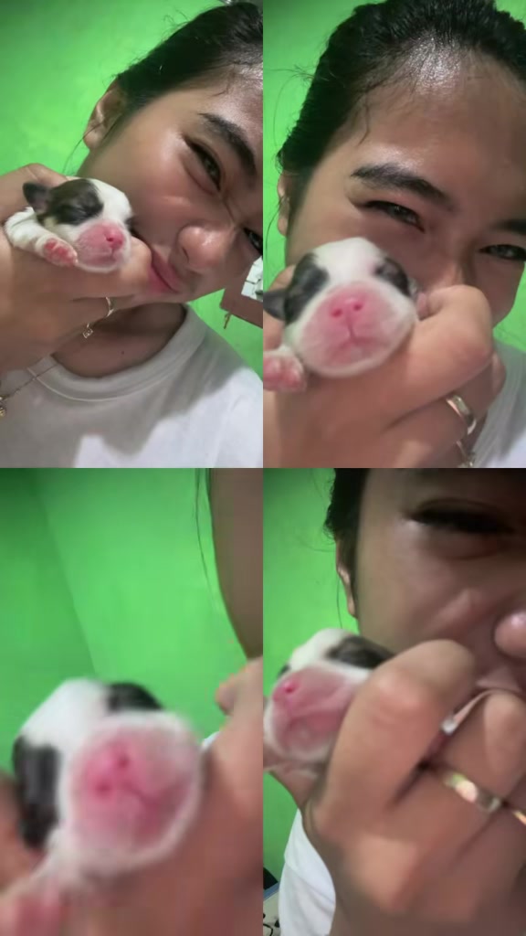 @Chelle