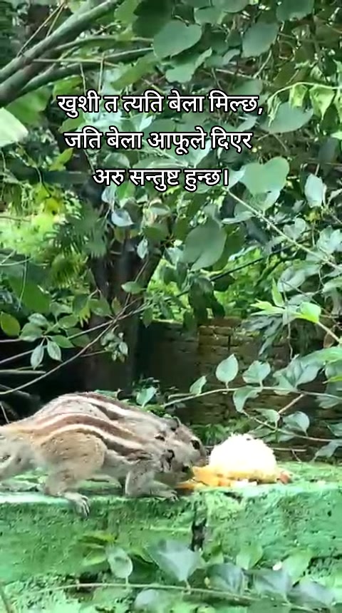 @प्रकृति