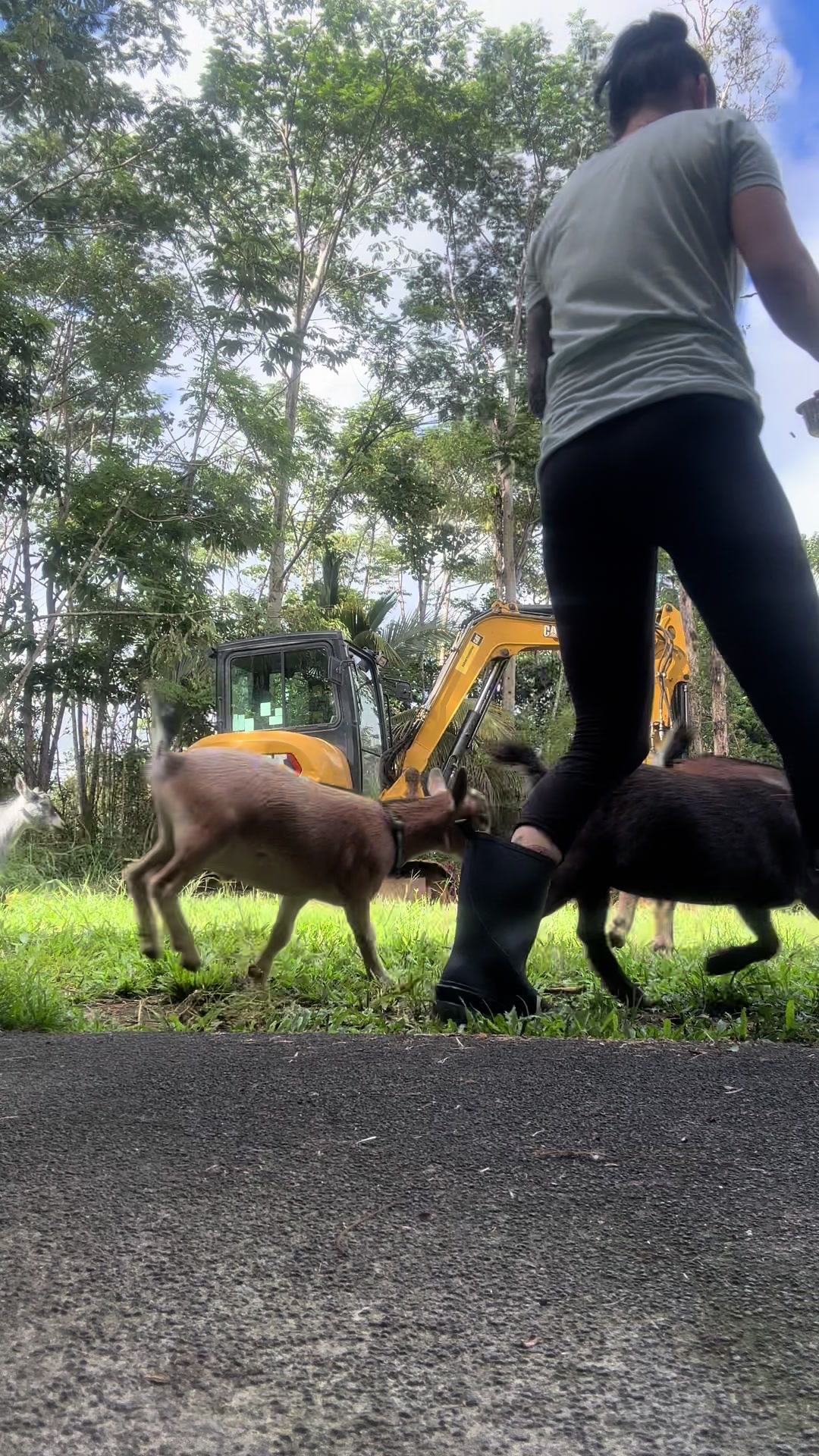 @Alohagoatyoga