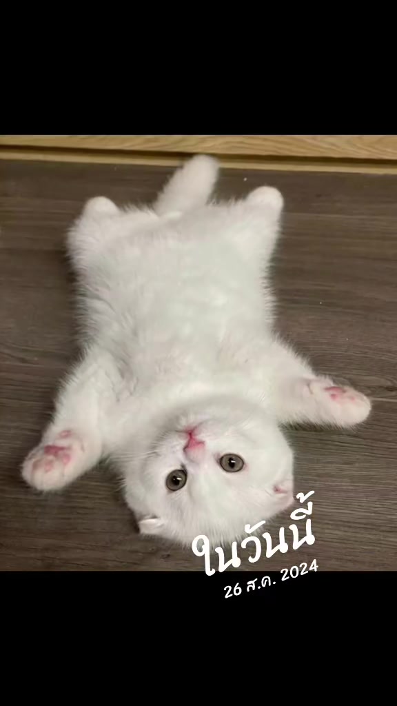@Bowมารวยต้า พี่S2🌪️🌧️ ☁️🖌️
