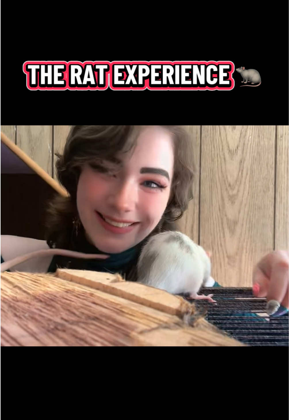 @lookatmyrodents
