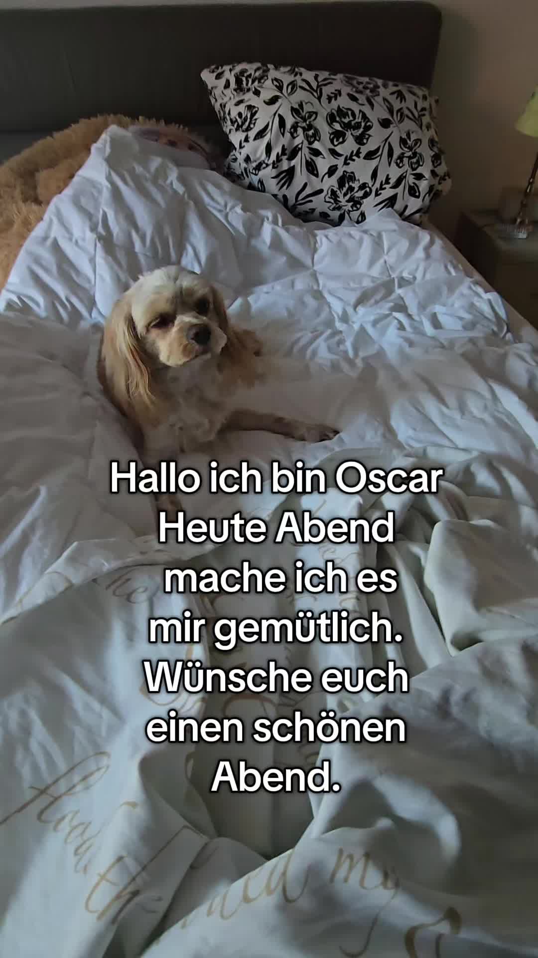 @Jazzy&Oscar's Hundeblog