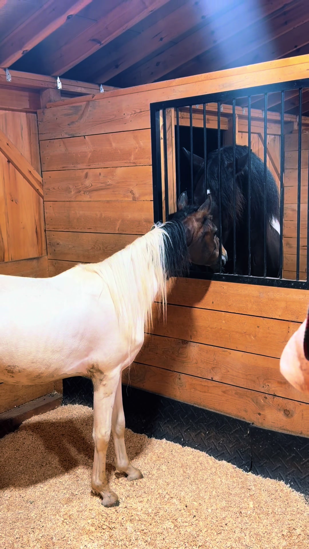 @Unshackled Hearts Ranch