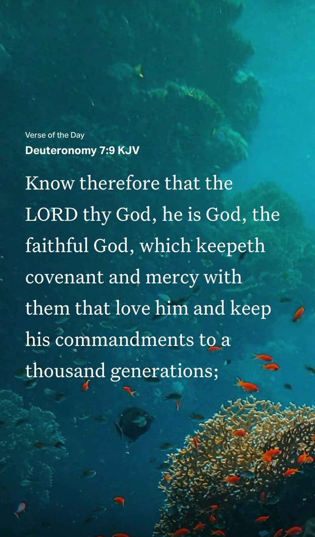 @VoiceOfScripture