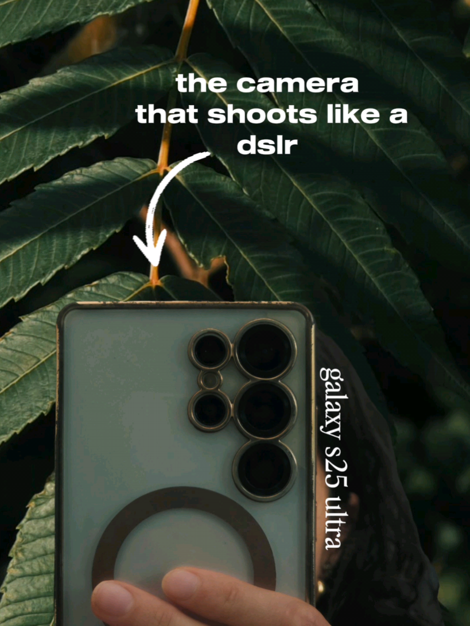 @daniela | ugc creator