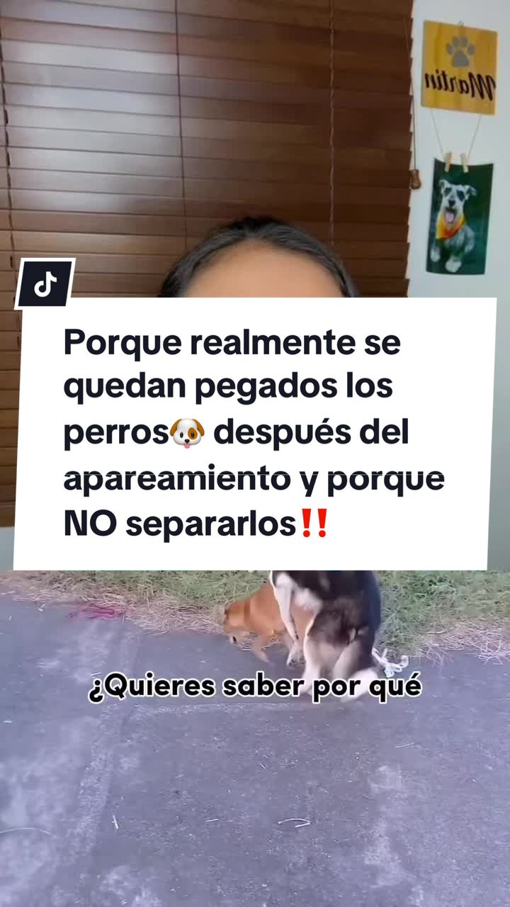 @Mariana Parra