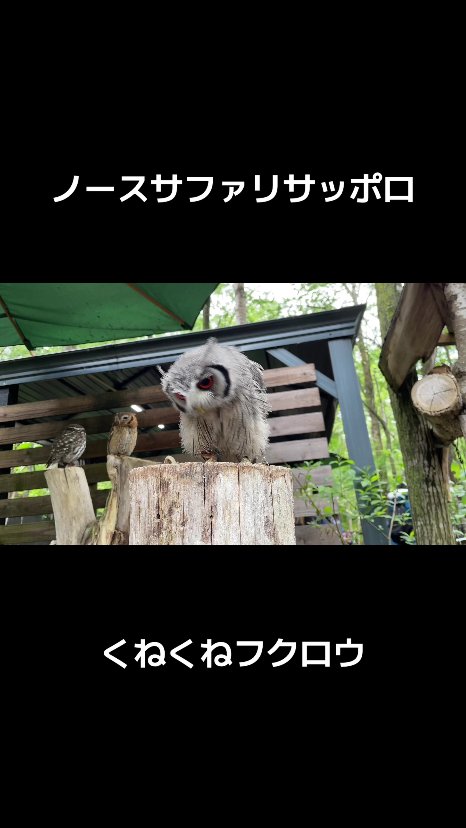 @華宮