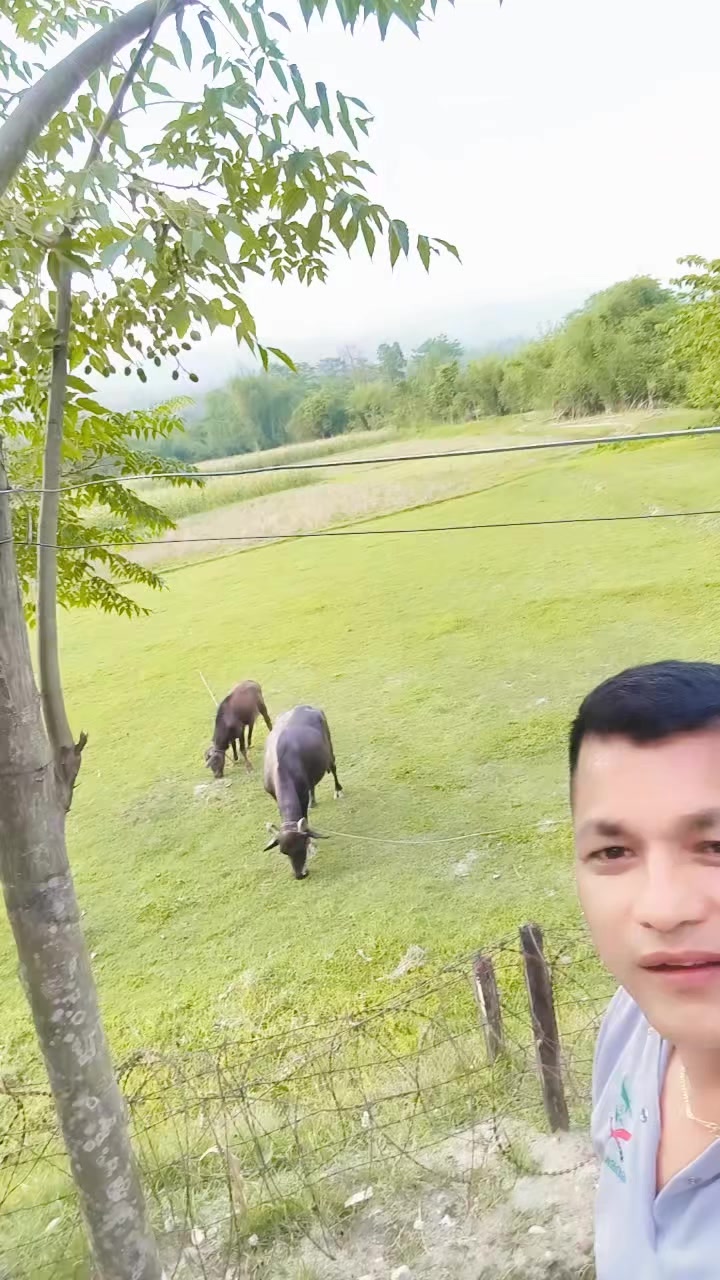 @nawrajkshetri