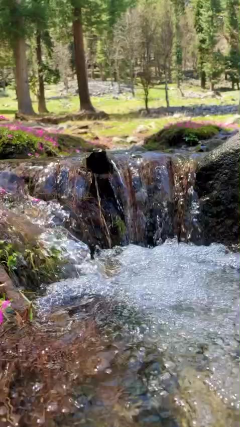 @İlayda 777