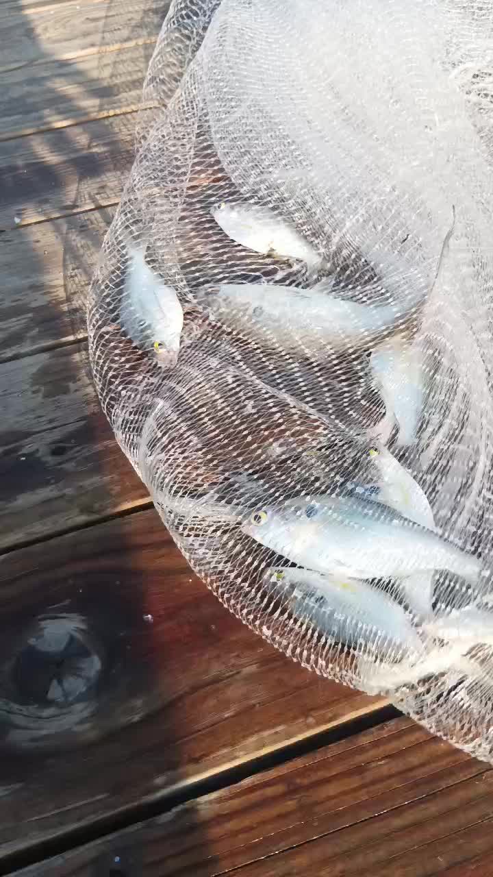 @Dirte's Tackle Shack
