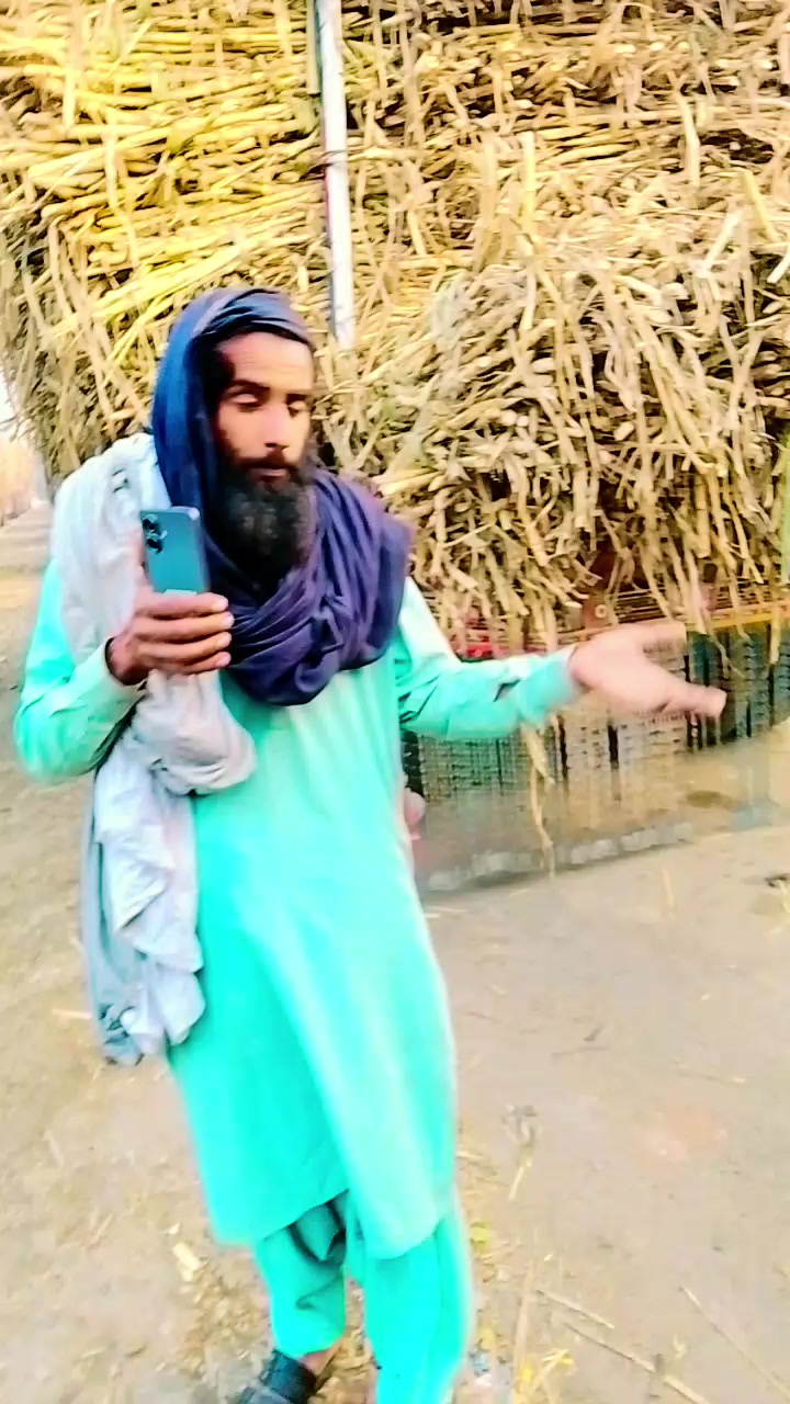 @zardari