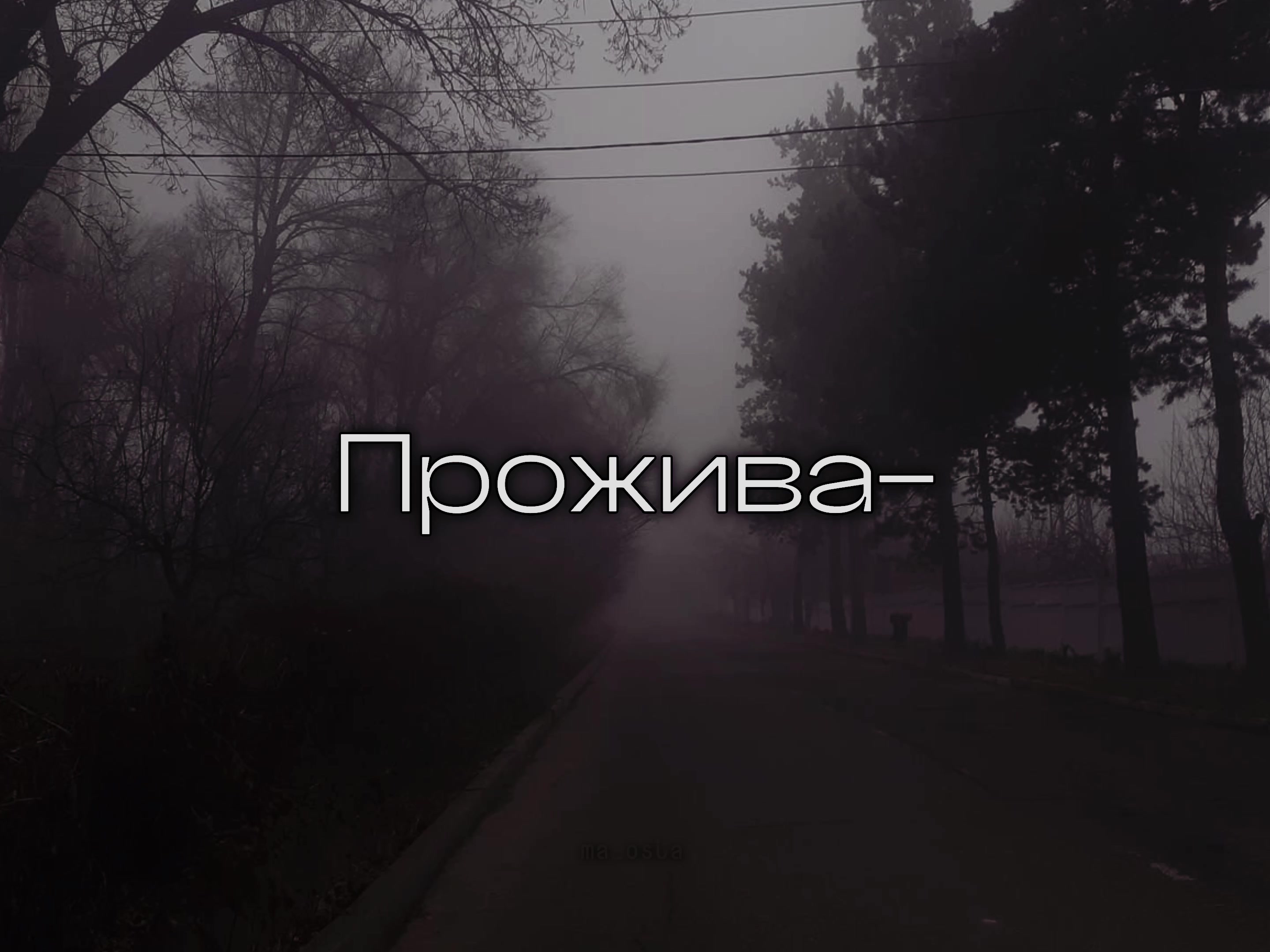 @маося✿*゚︎
