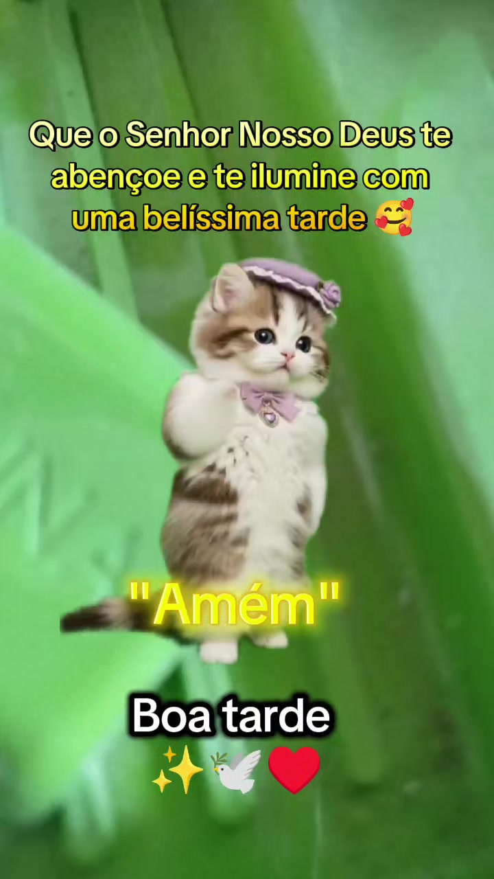 @girassol🌻