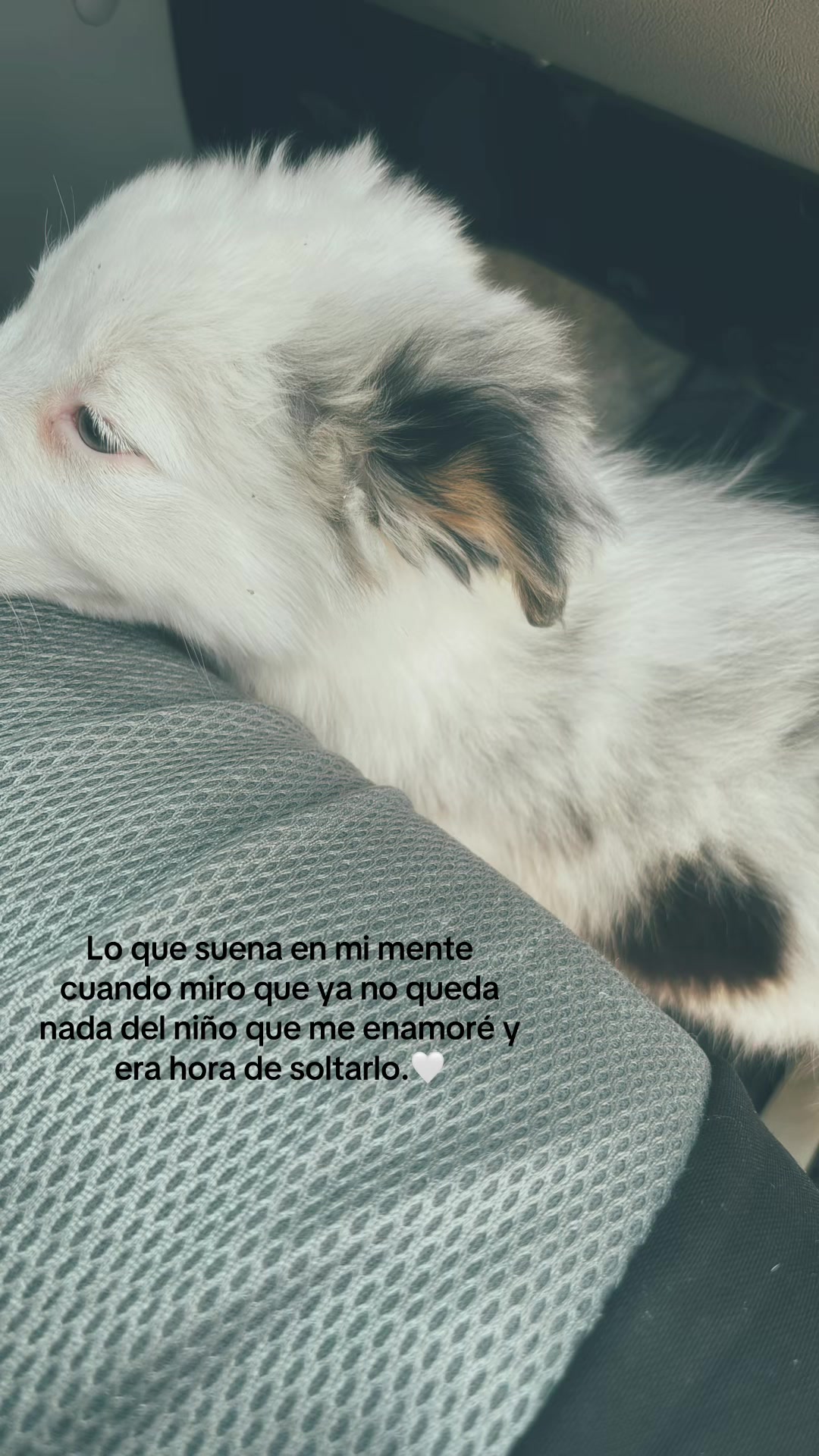 @ᥫ᭡steff