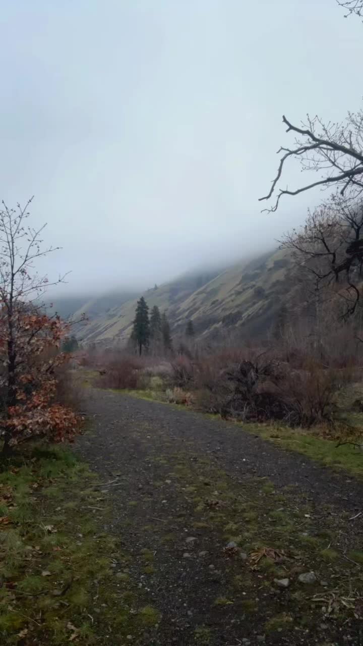 @Washington State Fishing