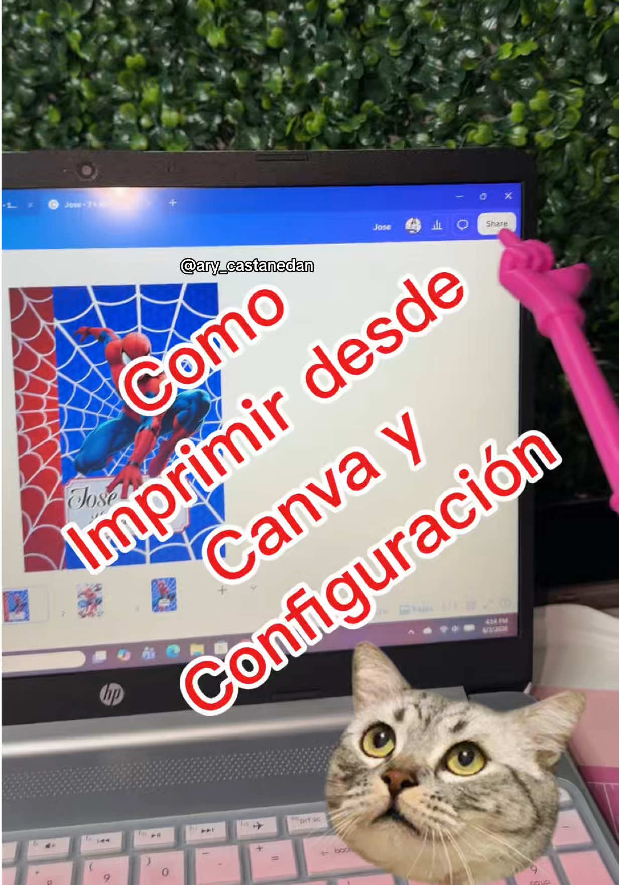@ary_castanedan