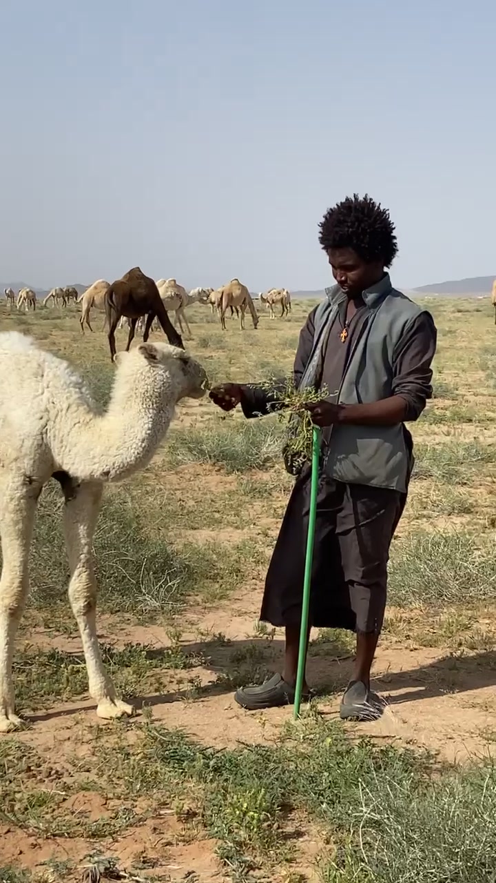 @مجهول