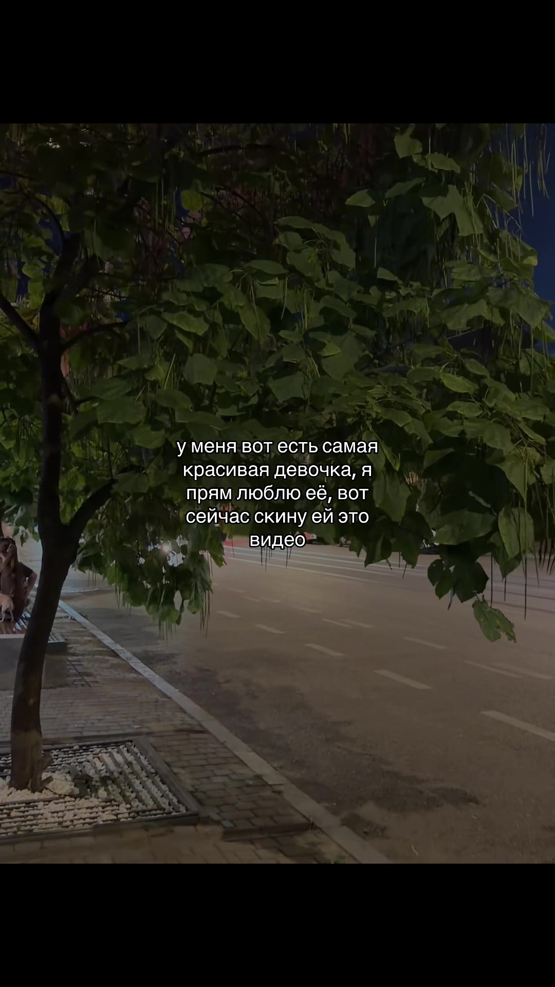 @Vestlly