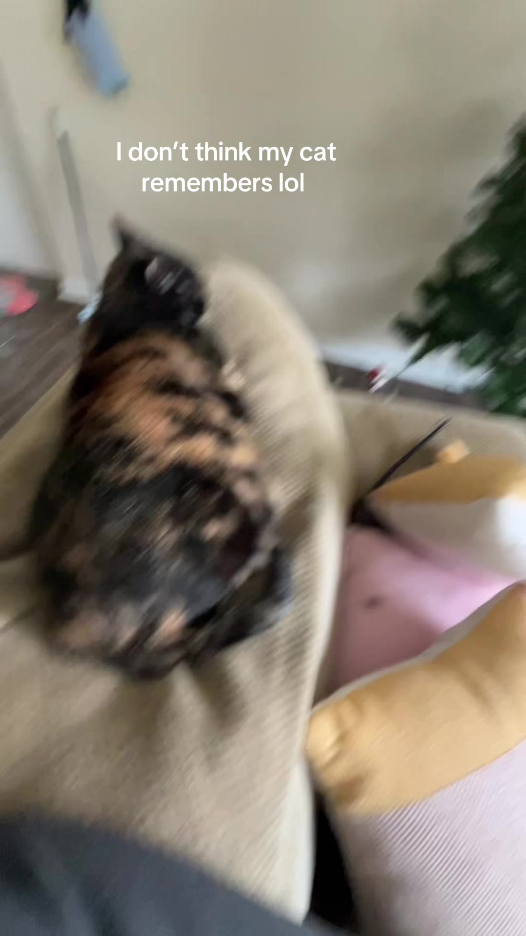 @Naenae