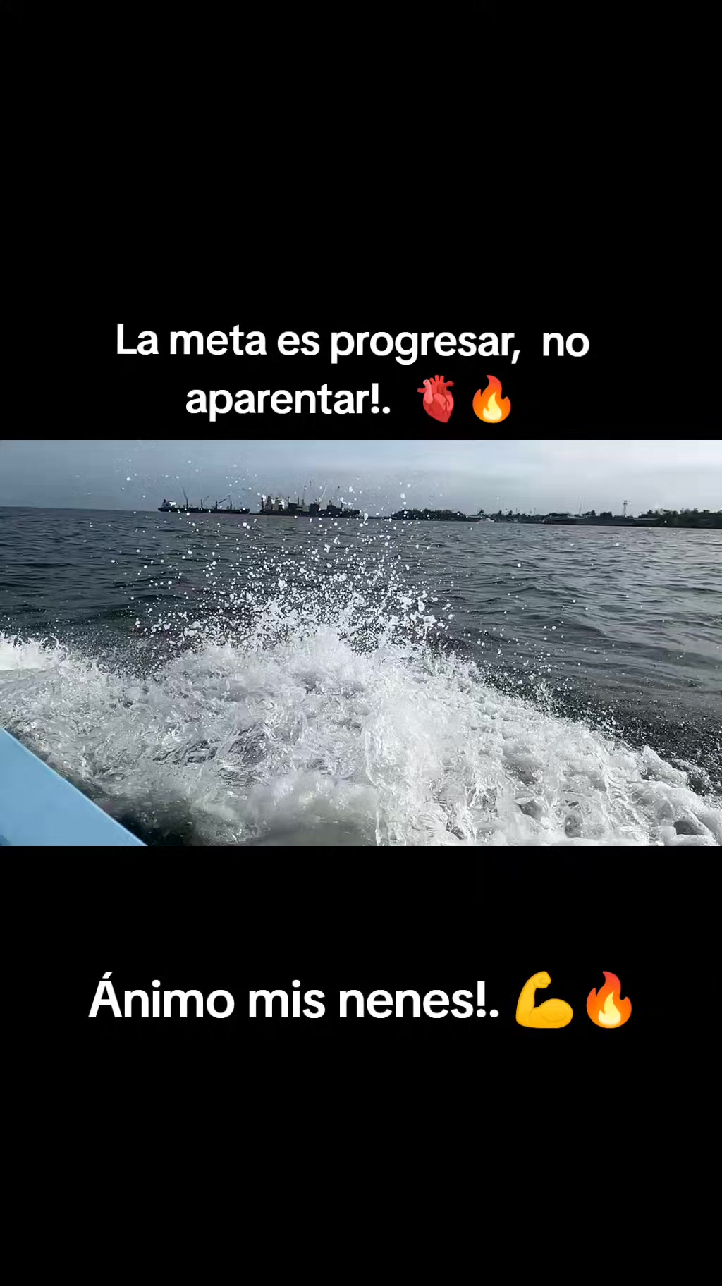 @tigre_502