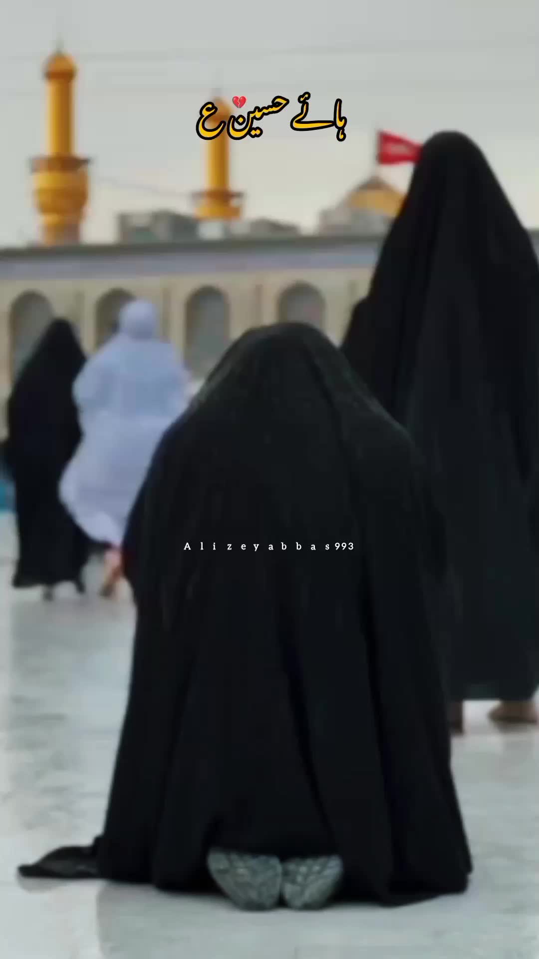 @𝓐𝓵𝓲 𝓦𝓻𝓲𝓽𝓮𝓼 ٣١٣