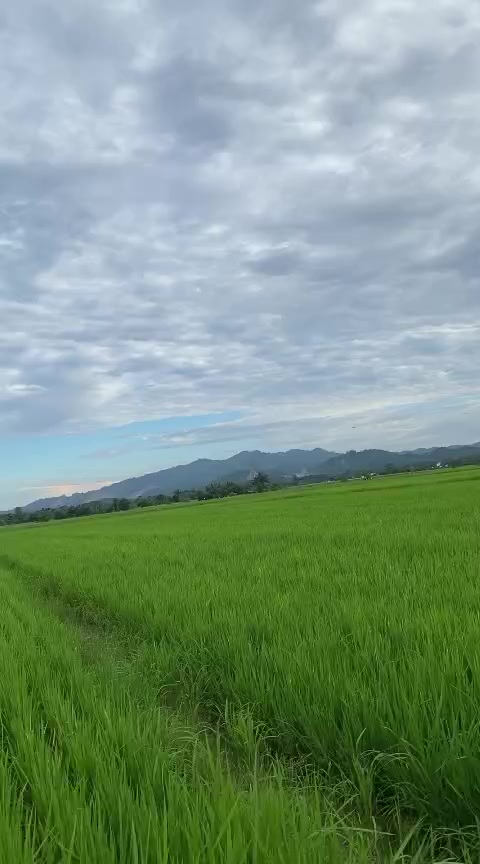 @Azril