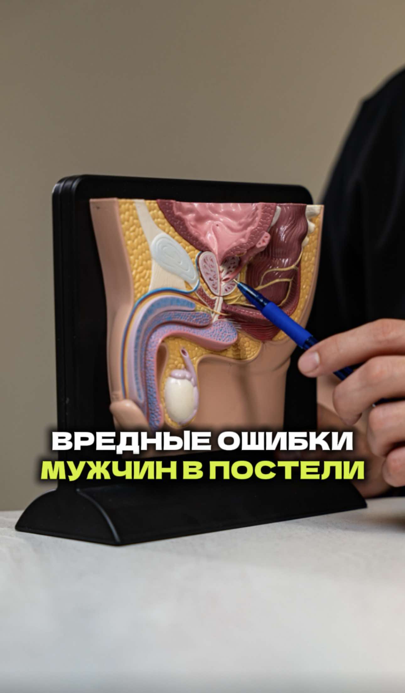 @mediart.kz