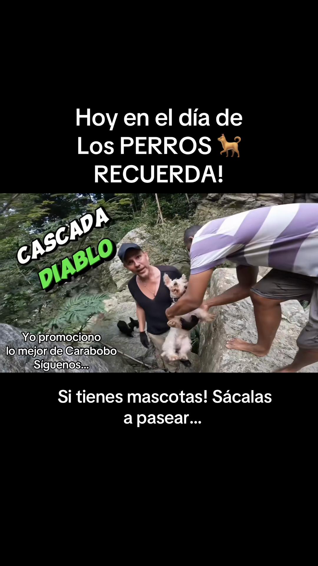 @Carlos Lozano