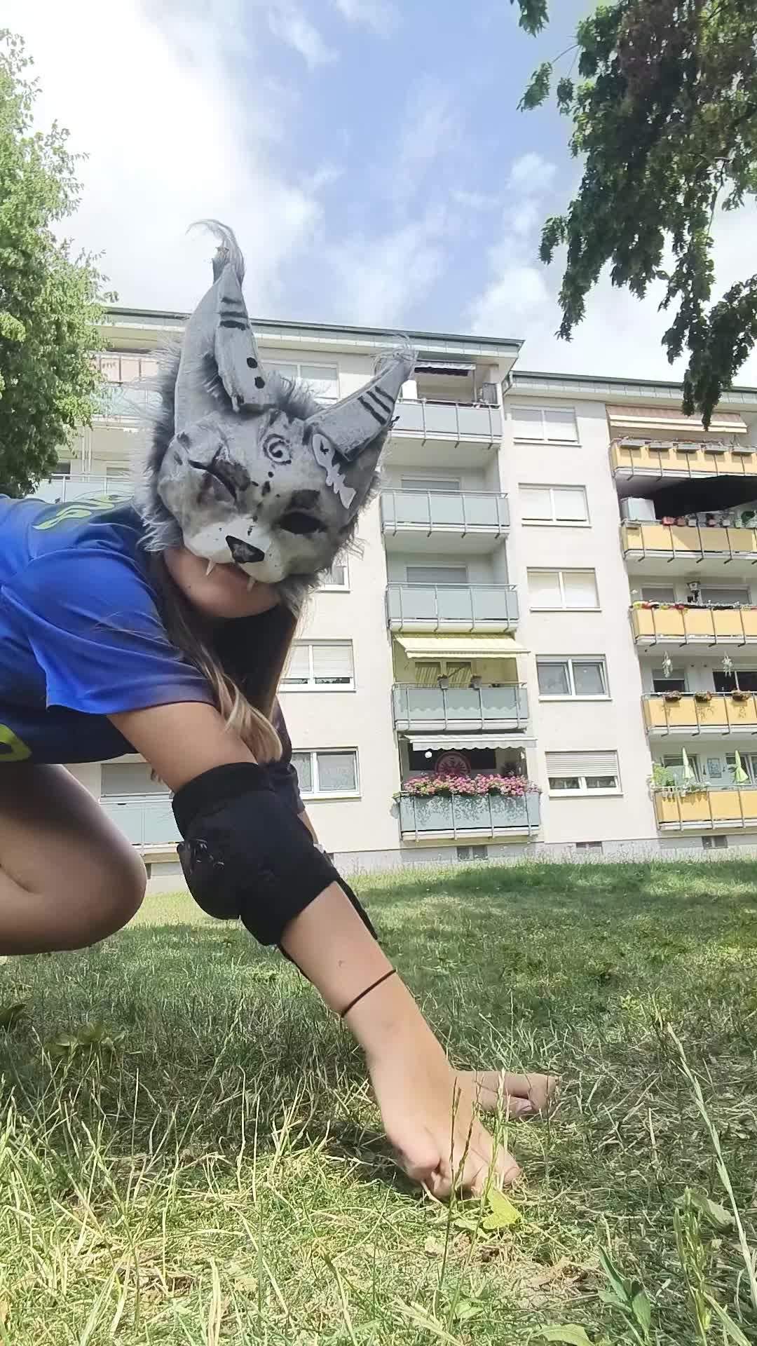 @black wolf and silver fox