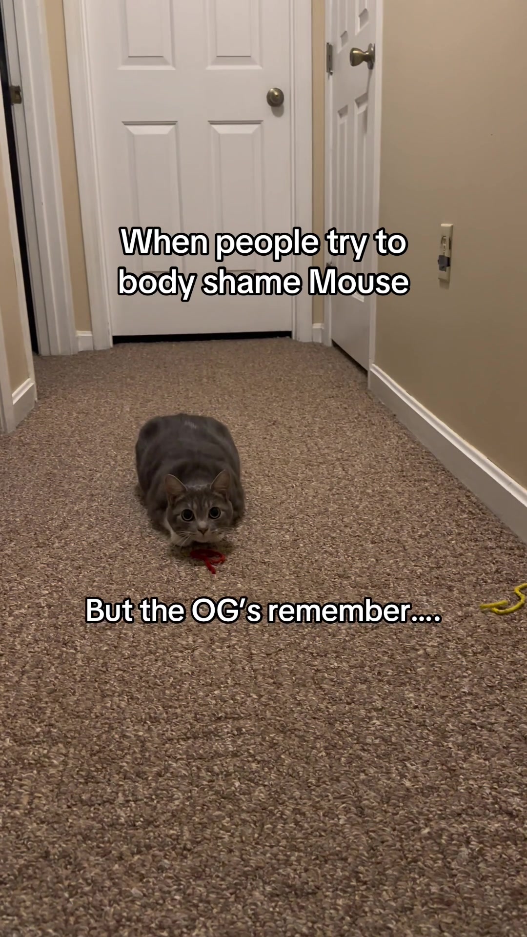 @LifeWithBoyd