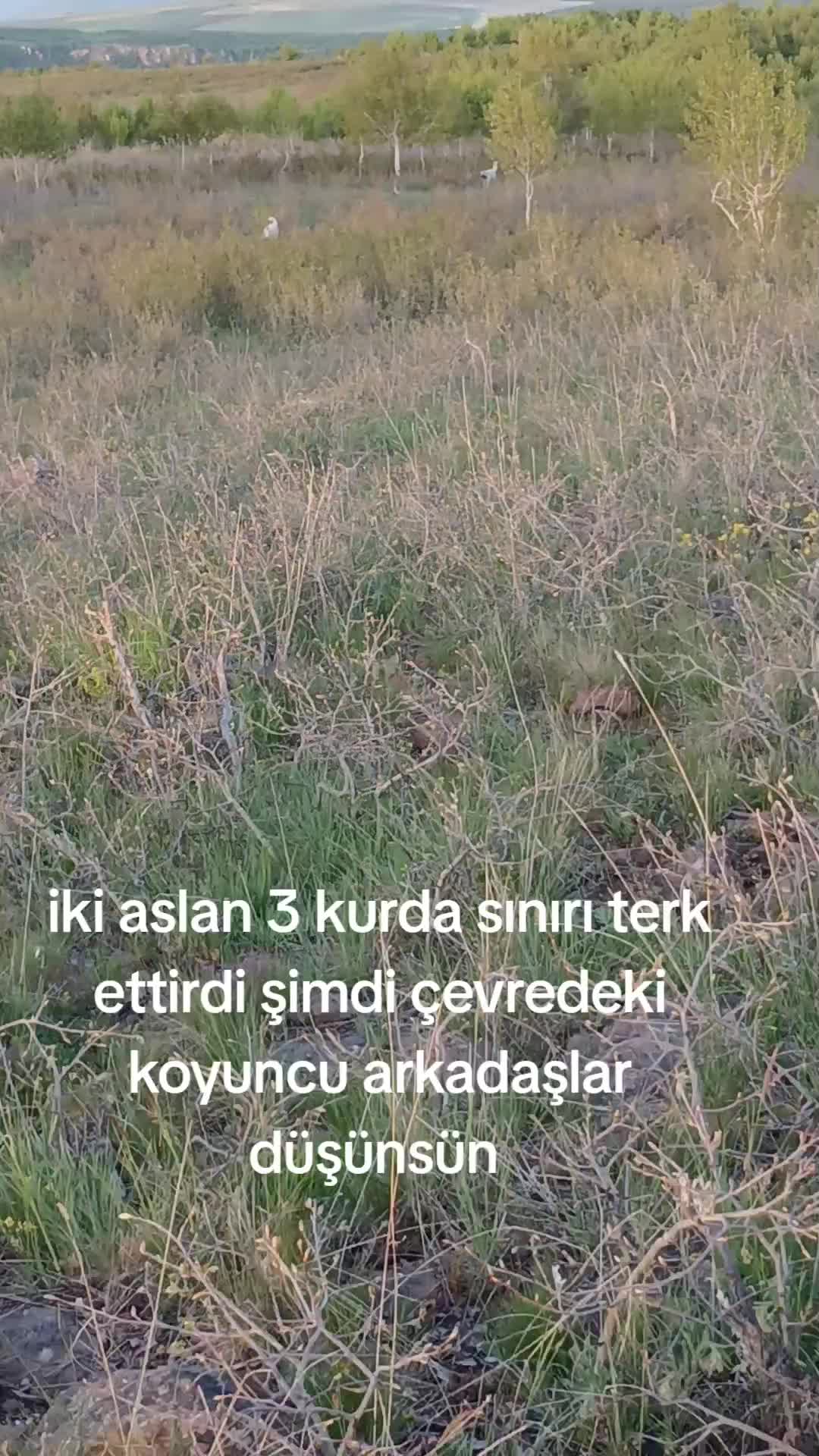 @erdogan 25