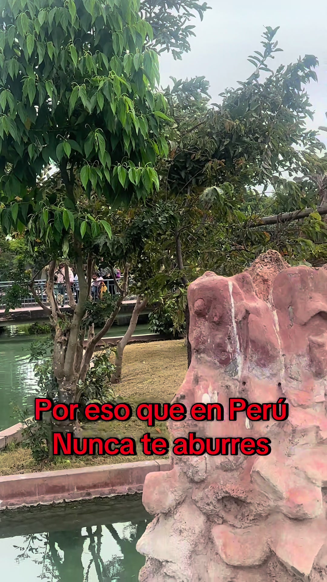 @🌸🌸Lunita 🌸🌸