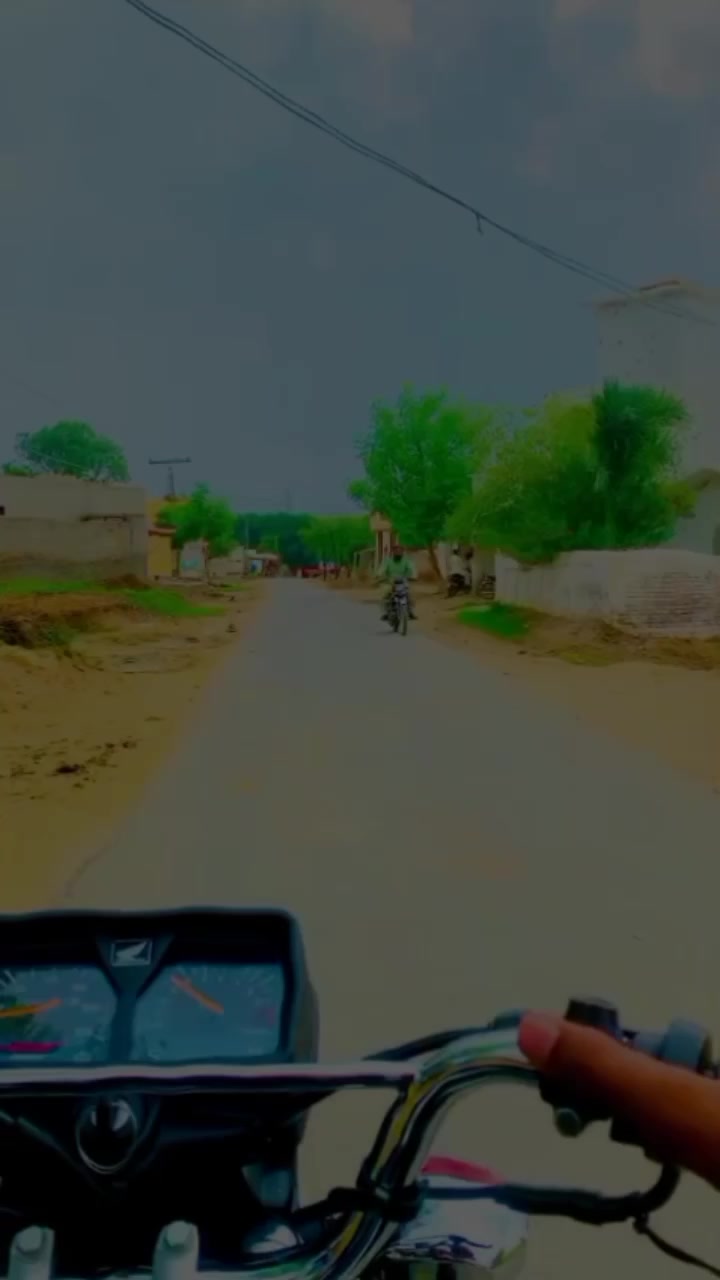 @Bhandara 295