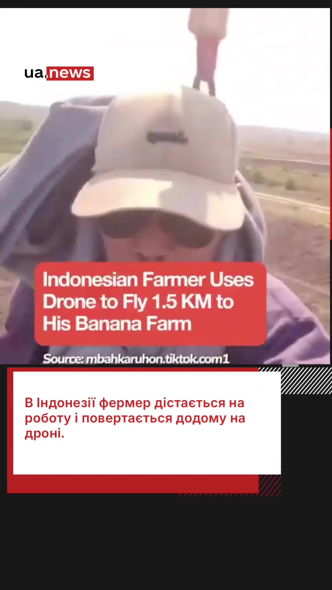@UA.NEWS